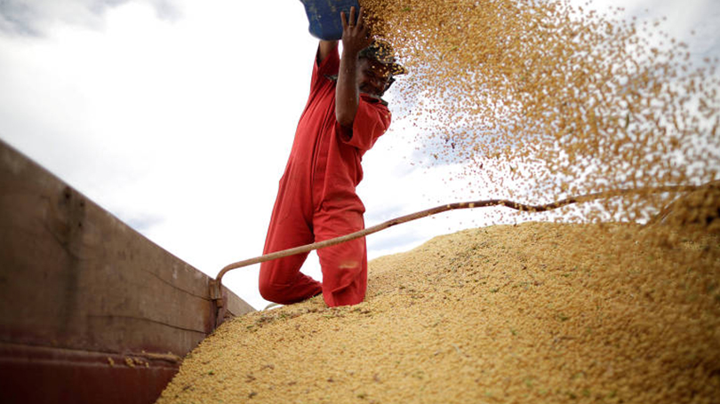 Vendas externas de produtos básicos atinge maior proporção em 38 anos