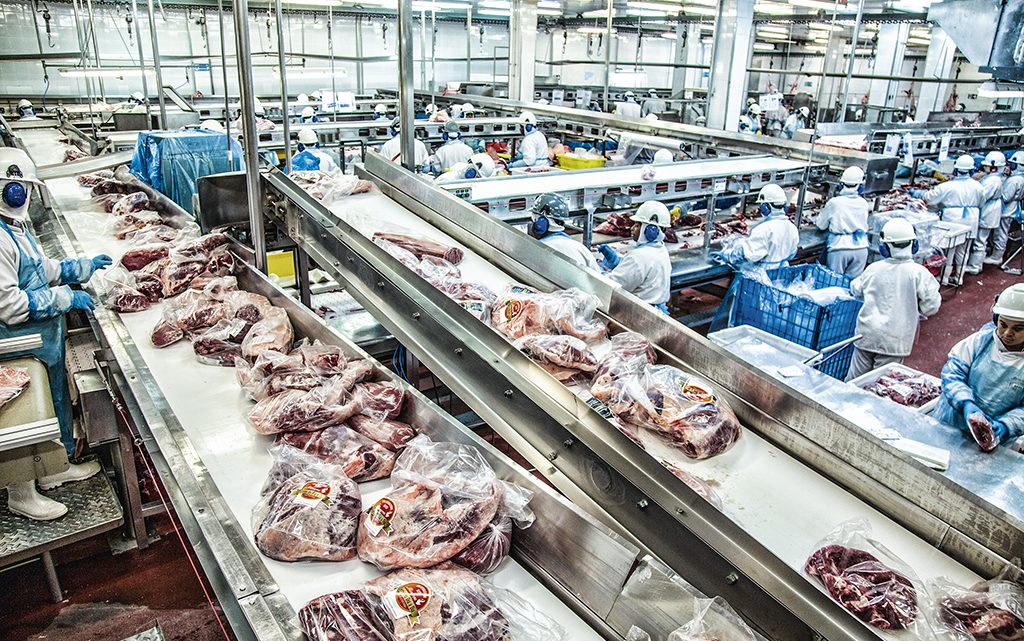 Despesas derrubam resultado da CSN e Minerva fará parceria para levar carne à China