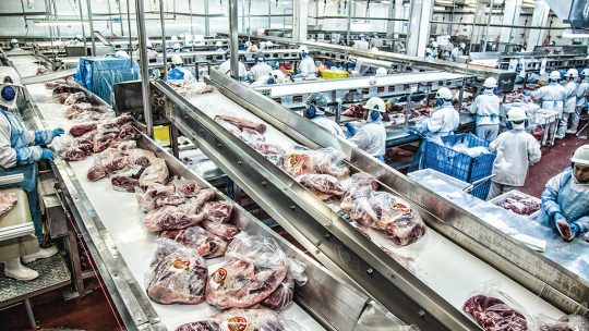 Despesas derrubam resultado da CSN e Minerva fará parceria para levar carne à China