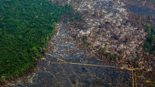 Desmatamento na Amazônia cresce quase 30% entre agosto de 2018 e julho de 2019, diz Inpe