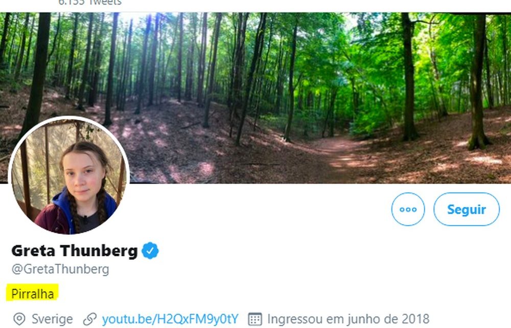 Ativista Greta Thunberg muda descrição no Twitter para ‘pirralha’ após declaração de Bolsonaro