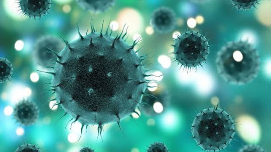 OMS alerta para a possibilidade de surgimento de novo vírus