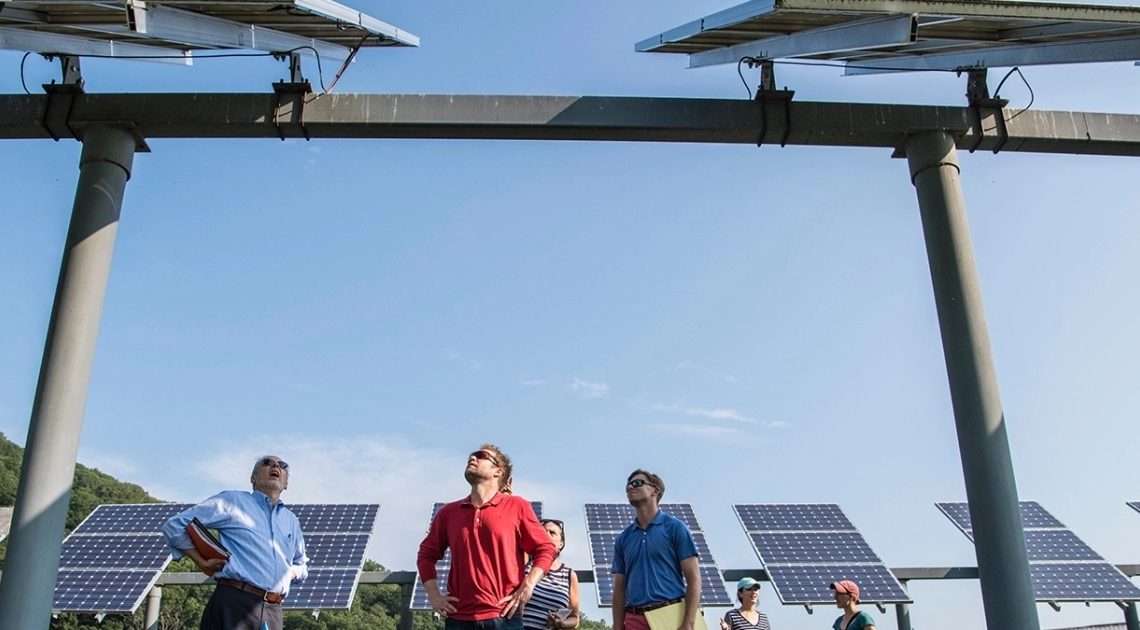 Economia Verde: As escolhas que fazemos agora moldarão o futuro