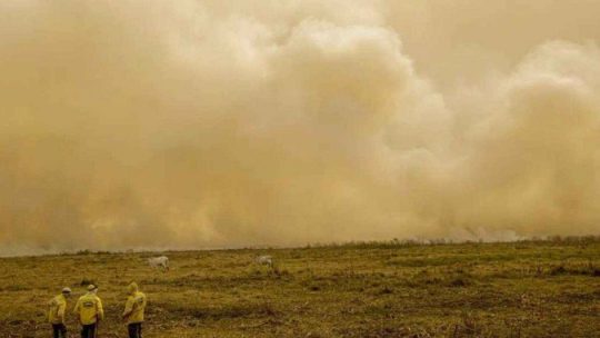 Queimadas chamam atenção para urgência de um agronegócio sustentável