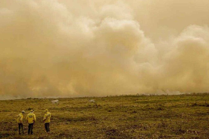 Queimadas chamam atenção para urgência de um agronegócio sustentável